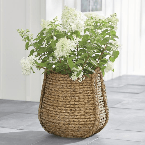 carved-woven-planter-621286